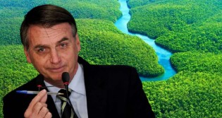 Firme, Bolsonaro vai vetar a lei que quer permitir venda de terras a estrangeiros