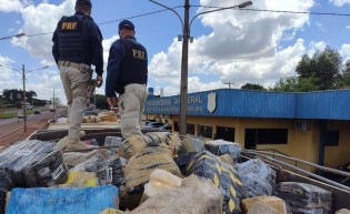 PRF faz a maior apreensão de maconha de sua história
