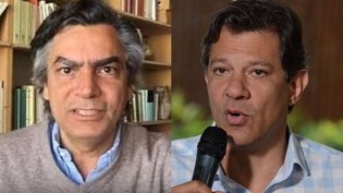 O confronto entre Diogo Mainardi e o poste de Lula: a vitimização de um "imbecil" (veja o vídeo)