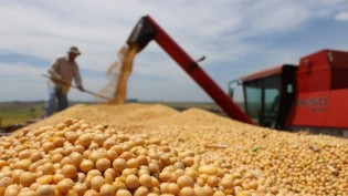 Mesmo durante a pandemia, Brasil bate recorde na produção de alimentos