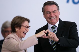 Exportações do agronegócio tem alta colossal e fazem economia avançar em plena pandemia