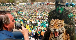 A onça acordou! O último aviso foi dado…