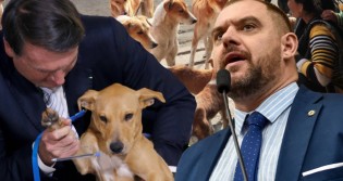 Deputado Maroni, o maior protetor de animais do Brasil, enaltece trabalho de Bolsonaro e desmascara a velha mídia (veja o vídeo)