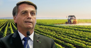 "O Brasil vai virar Arábia Saudita dos alimentos", diz uma das figuras mais importantes do mundo