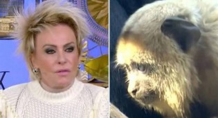 URGENTE: Em ato imperdoável, Ana Maria fala sobre caso de racismo e Globo mostra imagens de macacos (veja o vídeo)