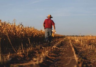 AGU bloqueia R$ 21 milhões de produtor rural em Mato Grosso