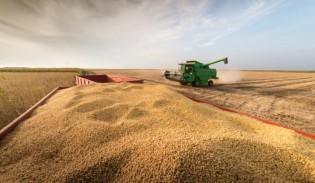 O setor mais importante da economia brasileira! As novidades do Agro...