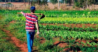Assentados abandonam discurso do MST e aderem ao agronegócio em parcerias criadas pelo Governo de SP