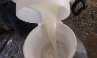Por motivo repugnante, Anvisa suspende venda de famosa marca de leite