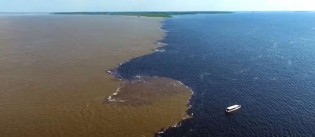Empresa russa com recorde negativo contra a natureza quer explorar a Amazônia