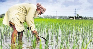 Decisão inesperada pode causar crise alimentar global