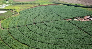 Dado impressionante sobre o Agro brasileiro é duro golpe nas narrativas da esquerda