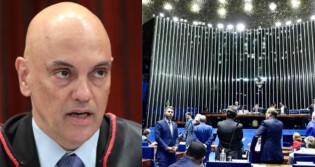 TSE "foge" de Comissão sobre confiabilidade do processo eleitoral e senador não perdoa