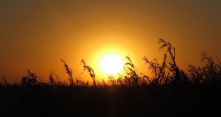 Previsão revela onda de calor para os próximos dez dias