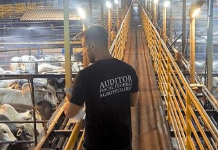 Insatisfeitos, servidores federais cumprem a promessa e tomam atitude desmoralizante contra Lula