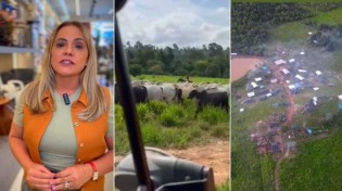 “Ameaças, destruição e gado morto”… O apelo da proprietária de uma fazenda invadida pelo MST (veja o vídeo)