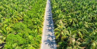 Conheça a fruta mais versátil que dominou o Brasil e o mundo (veja o vídeo)