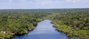 Alerta grave sobre influência estrangeira na exploração de recursos na Amazônia