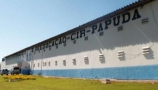 URGENTE: Preso pelo 8 de janeiro tenta tirar a própria vida