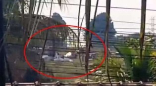 Queda de avião tem mortes confirmadas no interior de SP