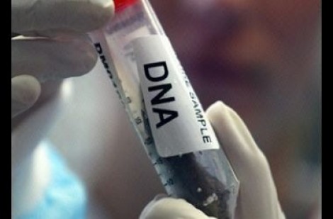 Projeto prevê criação de banco de DNA de pedófilos