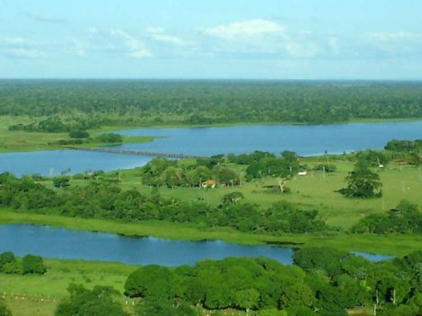 Pirataria