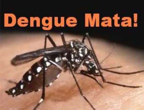 Vacina contra dengue está aprovada e pronta para entrar no mercado brasileiro