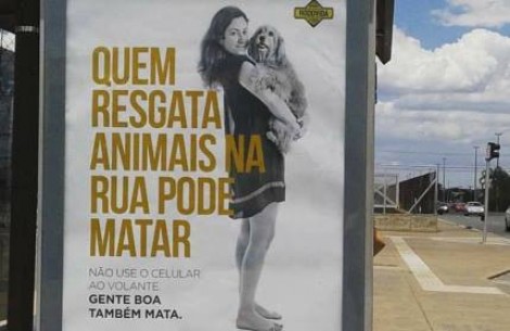 Campanha do governo causa indignação: ‘Quem resgata animais na rua pode matar’