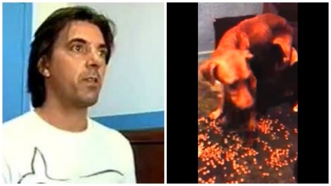 Ex-candidato do PSOL é preso por estuprar cães e portar drogas (veja o vídeo)