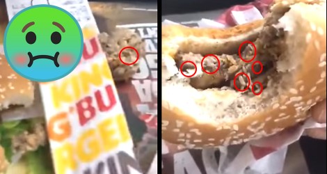 Burger King fecha loja após vídeo com larvas em lanche viralizar na internet (Veja o vídeo)