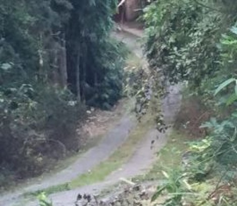 Um sítio abandonado, mas que não interessa ao MST, nem ao MTST...