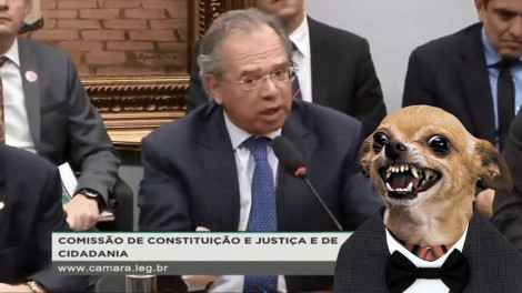 Paulo Guedes em sessão na Câmara demonstra coragem ao "miar para cachorro louco"