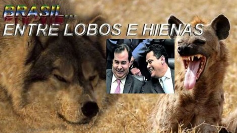 Brasil... entre lobos e hienas