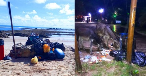 Morador denuncia situação alarmante e crime ambiental em praias do Morro de São Paulo, na Bahia