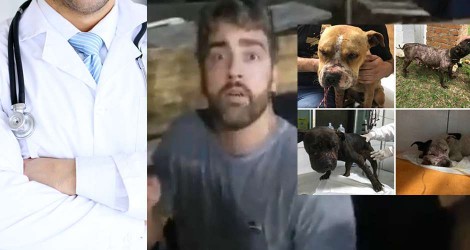 Policiais ficam indignados e extravasam sentimento com a presença de médico na rinha de cães (veja o vídeo)