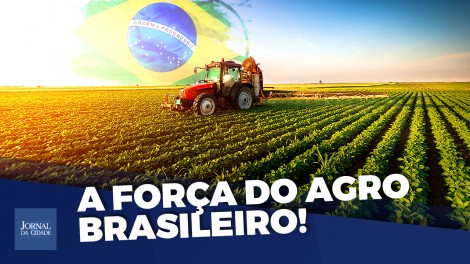 Desvendamos porque o agronegócio brasileiro mete medo na concorrência internacional (veja o vídeo)