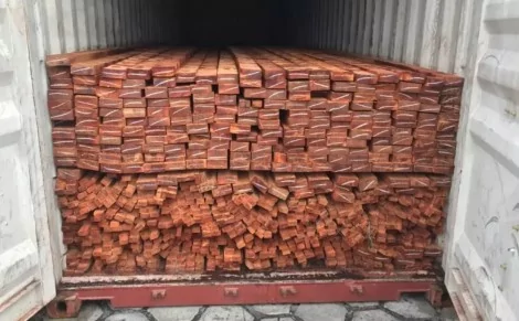 Alguns carregamentos de madeira ilegal encontrados, já em Manaus - Foto: Divulgação/PF
