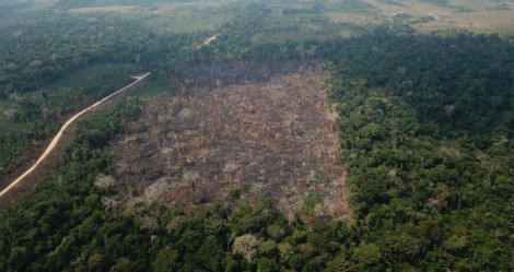 Governo cala a esquerda e comemora menor nível de desmatamento na Amazônia, em quatro anos