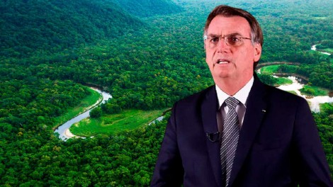 Bolsonaro surpreende o mundo e promete eliminar o desmatamento ilegal no Brasil (veja o vídeo)