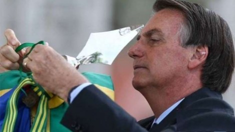 A inteligência de Bolsonaro e a burrice dos falsos inteligentes