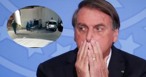 Deputado, maior protetor dos animais do Brasil, aciona Bolsonaro e clama por Justiça em caso que chocou o RS (veja o vídeo)