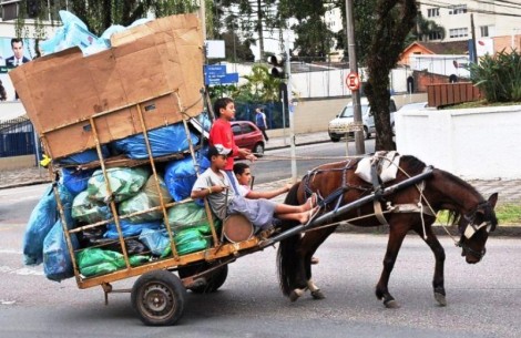 Para acabar com uma das maiores covardias contra animais, PL deve por fim às carroças no RS