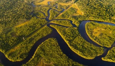 Em busca de ciência e inovação, Governo anuncia investimento histórico na região amazônica