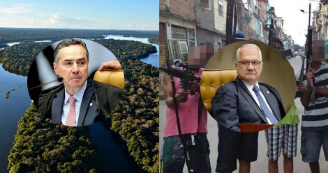 Onde existe mais criminalidade e a ausência do Estado significa risco real: Na floresta ou na favela?