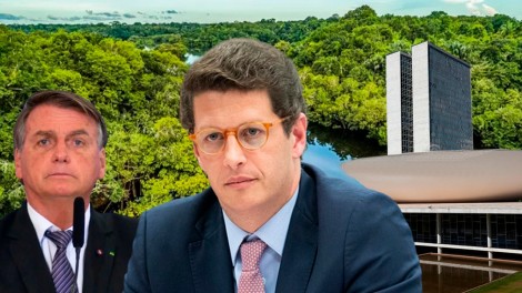 AO VIVO: Ricardo Salles detona armações da esquerda e revela o que há por trás das ONGs na Amazônia (veja o vídeo)