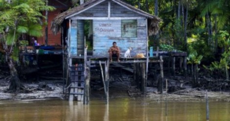 Senador quer CPI para investigar as ONGs da Amazônia e abrir a "caixa-preta"