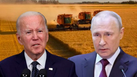 A “guerra do trigo” pode submeter o mundo às imposições de Putin (veja o vídeo)