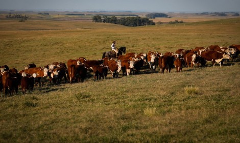 O agro brasileiro está de luto com o falecimento de um de seus maiores representantes