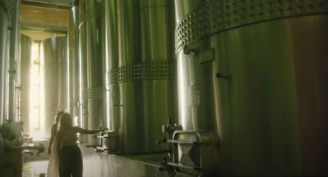 Maior exportadora de vinhos do Brasil surpreende a todos e lança bebida com sabor inusitado