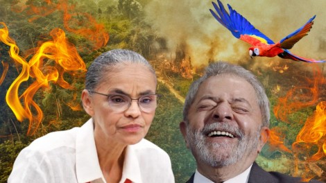 Queimadas na Amazônia batem novo recorde e expõem fracasso da política ambiental no governo Lula (veja o vídeo)